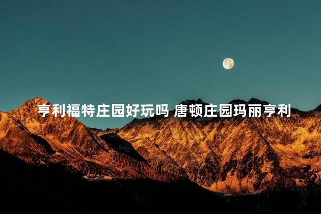 亨利福特庄园好玩吗 唐顿庄园玛丽亨利